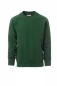 Mobile Preview: Herren Sweatshirt ORLANDO grün